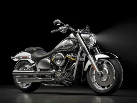 2025 Harley-Davidson Fat Boy Gray Ghost Launch: A limited-edition motorcycle celebrating 35 years of iconic Fat Boy design - autoini